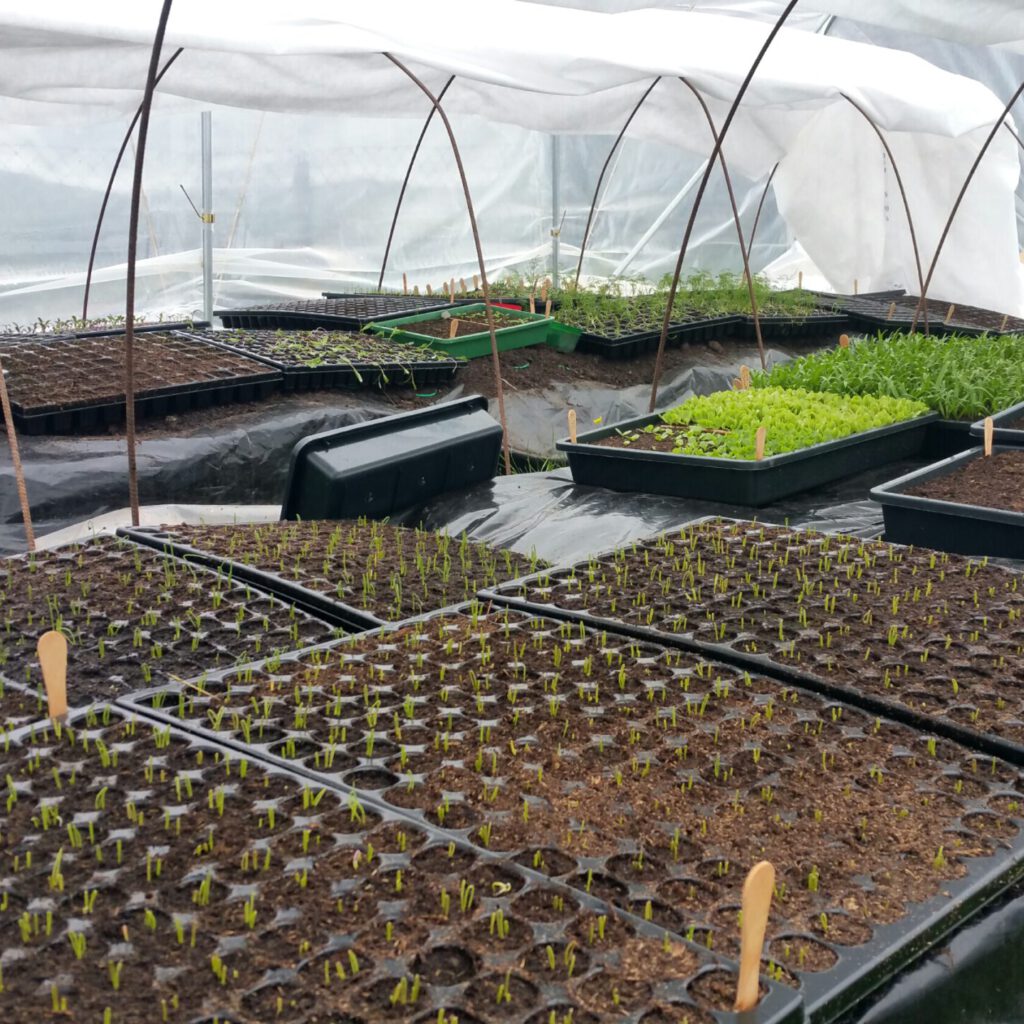 2022 04 24 12.18.56 Scaled E1776123755881 1024x1024