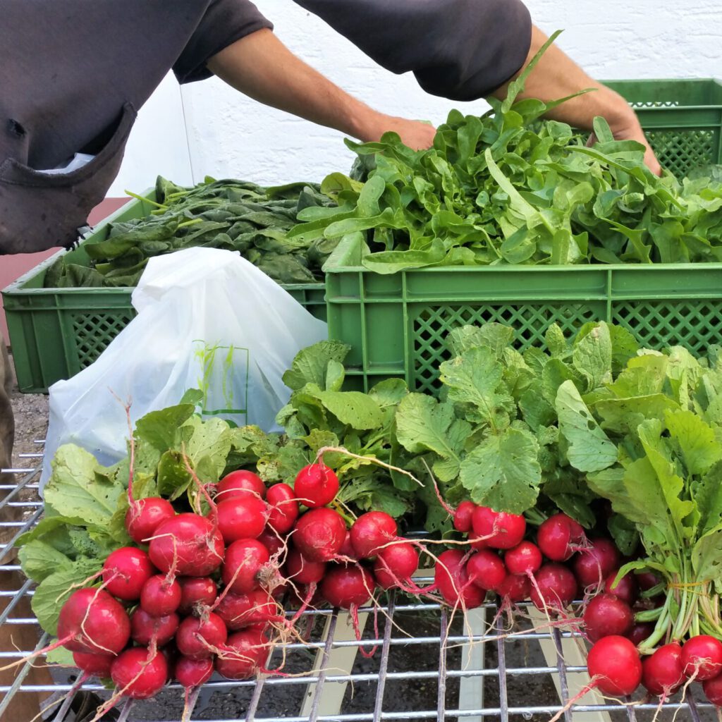 20220609 165101 Scaled E1776123596139 1024x1024